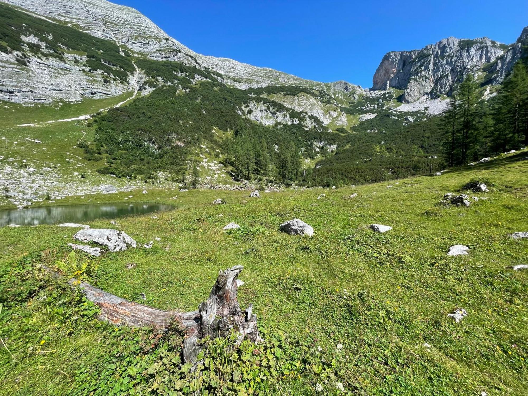 Appartements Olympia Mayrhofen Εξωτερικό φωτογραφία