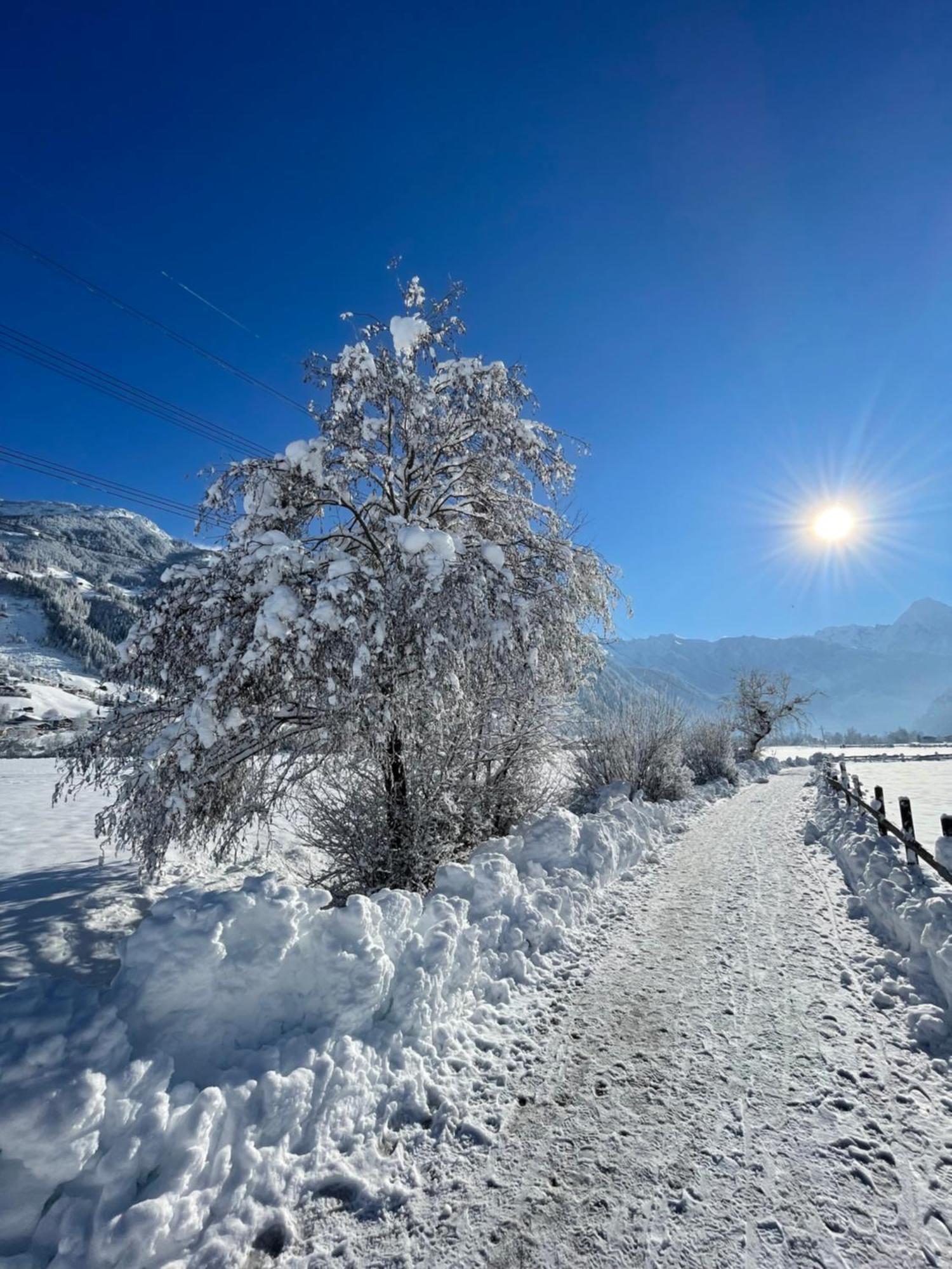 Appartements Olympia Mayrhofen Εξωτερικό φωτογραφία
